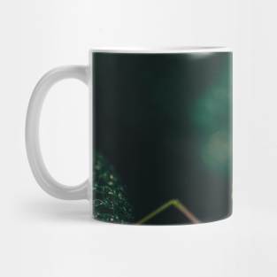 Mantis Mug